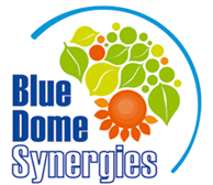blue dome synergies